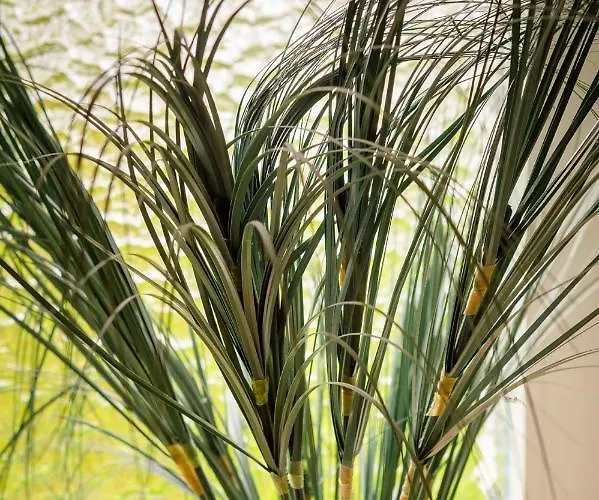 Appartamento Lehrerwohnung